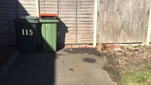 Cost-effective waste management with domestic skip hire in Wandsworth